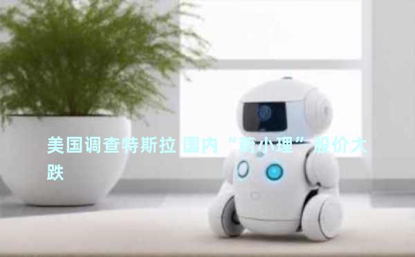 美国调查特斯拉 国内“蔚小理”股价大跌